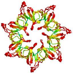 Biochemistry of immunology, protein structure and protein folding.  Flipping the classroom into the digital world for Tulane students and everyone else.