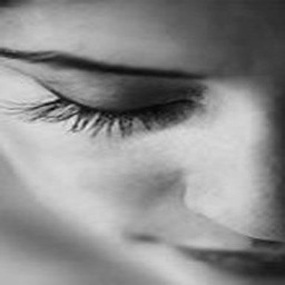 Francescason95's profile picture. This south-suburban outpost offers guests “simple rustic cooking, friendly service and fair prices”; a winning recipe for Francesca’s since 1992.