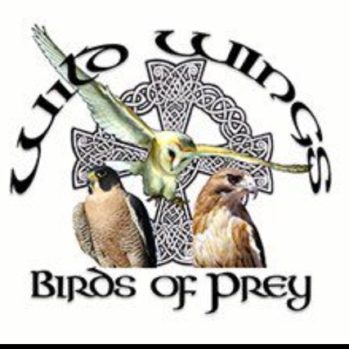 Wild Wings Bird of Prey NFP Rescue, Education & Rehab centre houses a variety of raptors including Owls, Hawks, Falcons and Eagles.