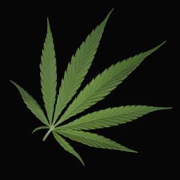 Mary Jane y yo somos mejores amigos. Pasamos mucho tiempo juntos.