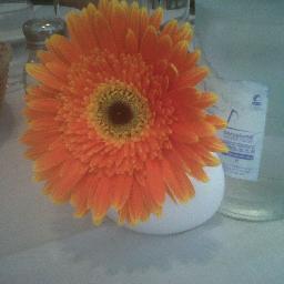 Estefan68921071's profile picture. Publicitaria dedicada a la organización de eventos. Cada detalle importante para un evento.