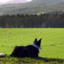 Bradley Greiner - @BradleyGreiner1 - Twitter