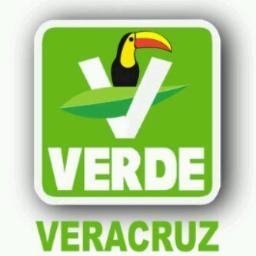 ING. JUAN J. MORA REMES
Presidente del Partido Verde  Municipio de Veracruz
Promover las propuestas nacionales e identificar las problemáticas ambientales