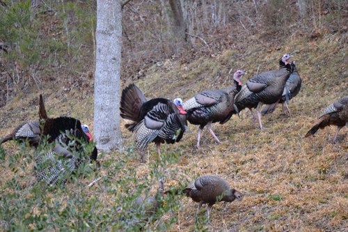 Price18K's profile picture. 