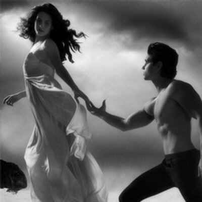 hush hush saga books hush hush saga books