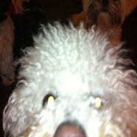 steph (@spagettihetti) 's Twitter Profile Photo steph (@spagettihetti) 's Twitter Profile Photo