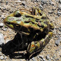 HarveyAConway's profile picture. Husband To Gloria; Father, Granddad (pop), Follower of Jesus