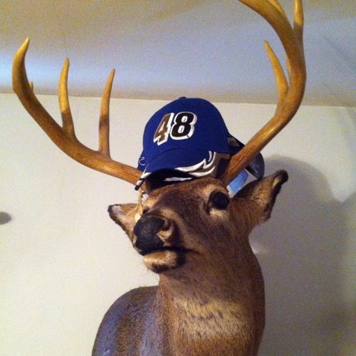 #Colts fan #JimmieJohnson super fan deer slayer