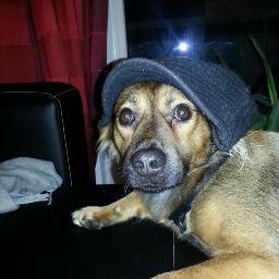 15230Tobi's profile picture. 