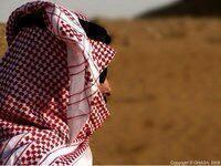 ahmed2013as's profile picture. 