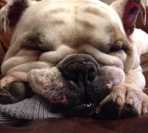 JASD987's profile picture. Come On You Saints ! Whites ! Yankees ! Hoppers ! Like an odd Costa or 2 !