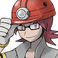 As a Gym Leader, I need to see your potential as a trainer, And the toughness of your pokemon