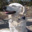 Jackie Jolly - @jjoollyy - Twitter