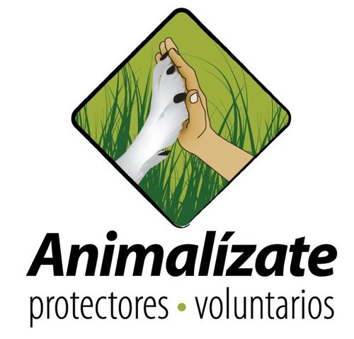 Todos los que amamos a los animales nos hemos planteado la idea de intentar hacer algo más y lograr una mejor calidad de vida para ellos