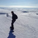 David Herd - @thisisdavidherd - Twitter