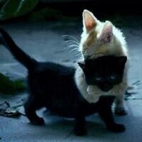 derin_deren (@derin_deren) Twitter profile photo