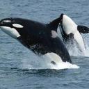 Chance Hall - @ChanceDoom - Twitter