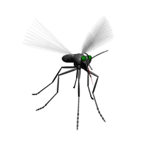 Os mosquitos  são amigos