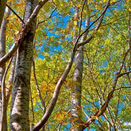 24_Yamamoto24's profile picture. 16のときより、ネットでしばしばお小遣いを稼いでいます。
今は500万円貯めることを目標に頑張っています。
本を読むのが好きで、今はよく歴史についての本を読んでいます。
フォロワー募集中。相互フォローやっています。
よろしくお願いします。