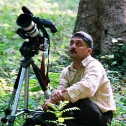 Documentary filmmaker by profession now working full time on bird conservation in Himalayas involving young minds & citizen science. All r welcome to join ARCH