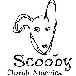 ScoobyNorthAmerica Profile