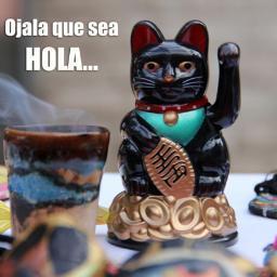 folcanrol's profile picture. Superviviente Creativo