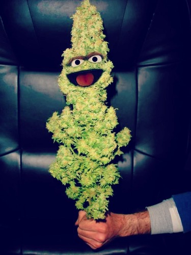 For the lovers of Mary Jane. Follow me, I follow back.