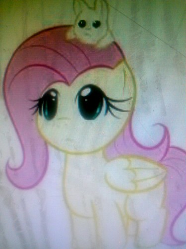 filly for fluttershypony0