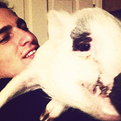 The official Yuma FAN PAGE Account for the famous pig, #TeamSchmidt,& BTR :o) | @Heffrondrive Follows us | The creator is @HeartRusher |