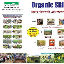 NOSC 'CENTER OF ORGANIC FARMING' : Fun, Learn & Study Center of Organic Plantation in Cibadak-Nagrak, Sukabumi - West Java, INDONESIA
