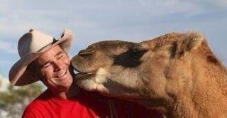 Multi-Award Winning Uluru Camel Tours offer a wide range of tours from our iconic sunrise and sunset tours to short ten minute rides at the camel farm.