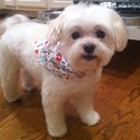 nancy cheatham - @ncheat21 - Twitter