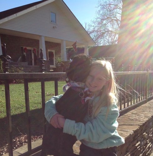 foxhunt2020's profile picture. I ❤horses and dogs