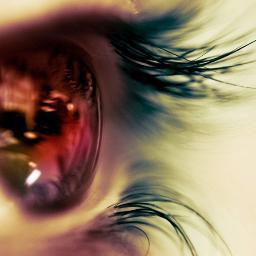 smwittmann's profile picture. What would life be, if we did not choose every once in a while a path of the unknown that could lead to greatness.