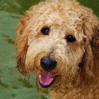 Kathryn Hilleary (@krhrunjumpthrow) 's Twitter Profile