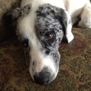 Emily Grace Jaeger - @EmilyGraceJaege - Twitter