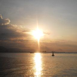 DhamelisP1's profile picture. 