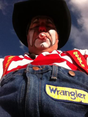 codybsosebee's profile picture. chicken farmer,goat milker,pro sports entertainer,disco fool,God fearin, proud American, hardest working hillbilly in show business