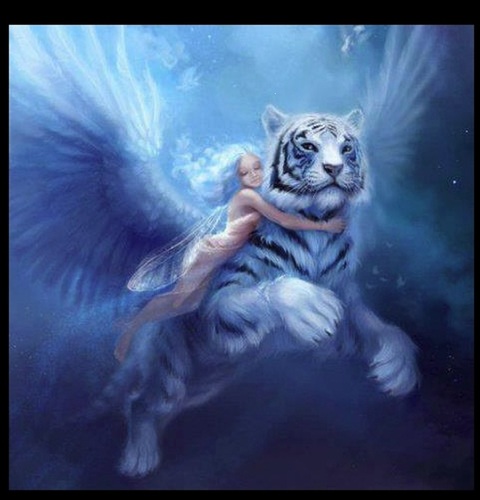 DonnaDare2's profile picture. 