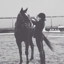 ashley emig - @anemigequine - Twitter