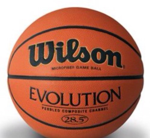 Fittychick1's profile picture. If you want it go for it#fitness