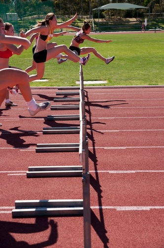 UNSW Sport Profile