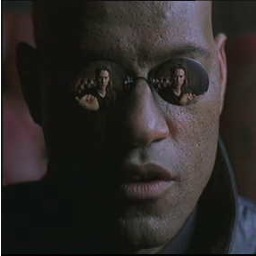 MatrixMorph's profile picture. Official Morpheus PARODY. Captain of the Nebuchadnezzar, Lion of Zion. Holla if you're an independent black woman who don't need no man matrixmorph@ymail.com