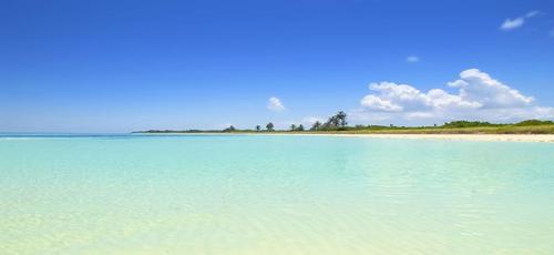 Art_Beach_Life's profile picture. 