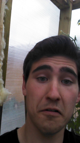 KurtsMutterings's profile picture. Im a bat.