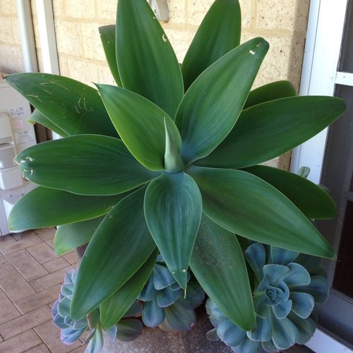 cathryn62's profile picture. 