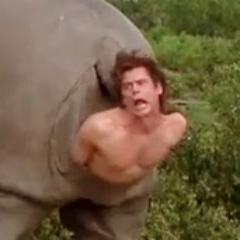 zesatii's profile picture. loading...