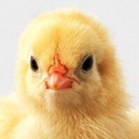 れきおっち (@rekio2011) 's Twitter Profile
