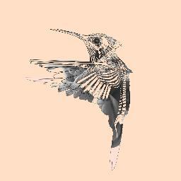 We're the cosmonauts of the Romanian alternative rock music. We bring you some pop melodramatic songs on our first album Stalingrad. 
https://t.co/Wfi8AQOyet