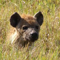 visualizes1's profile picture. 東京にある編集プロダクションで働いていて、日々、雑誌や広告を製作しています。ここ最近は4月中頃にはじまる、編集＆ライターの教室もお手伝い中。興味のある方は、ぜひHPをご覧ください。